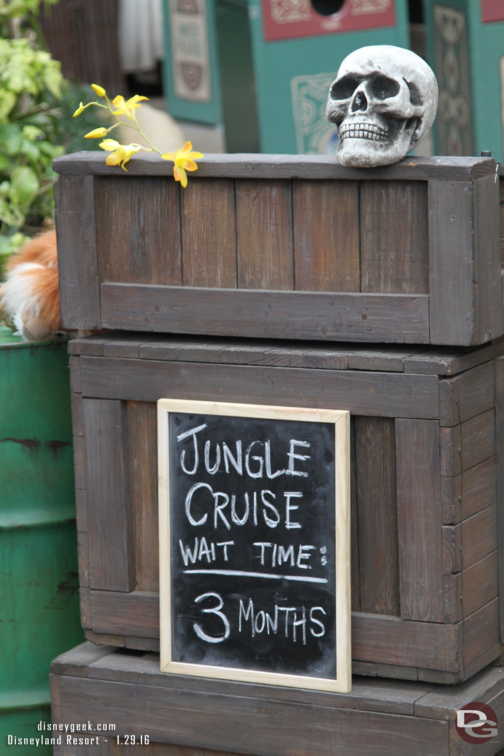 The current wait is only 3 months for the Jungle Cruise.