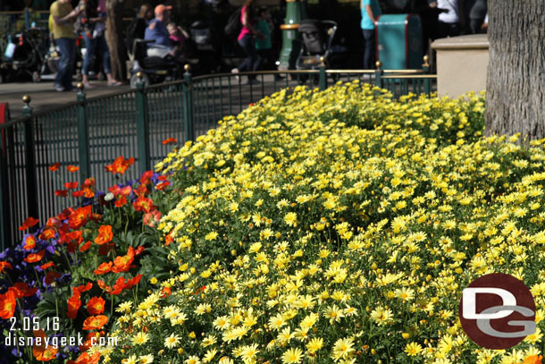 Spring blooms in Paradise Pier