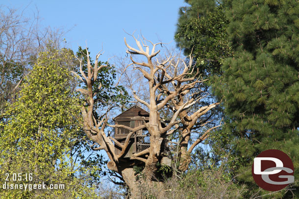 It was also reported last week that the tree house may be coming down too as part of the project.  It has been off limits for a couple of years now.  As of last April the one in Tokyo was still open though.