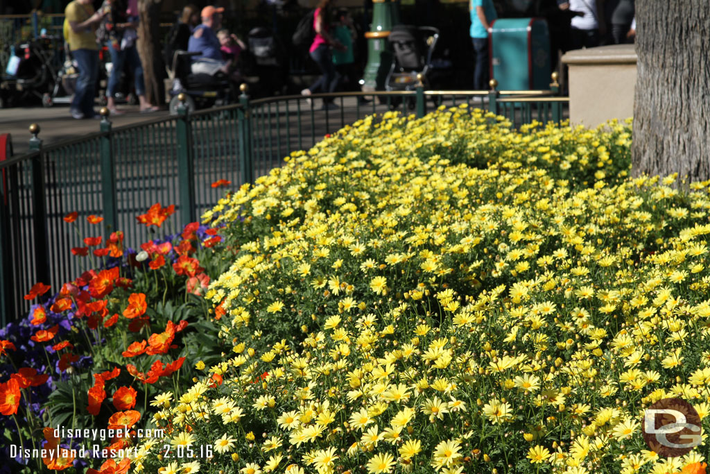 Spring blooms in Paradise Pier