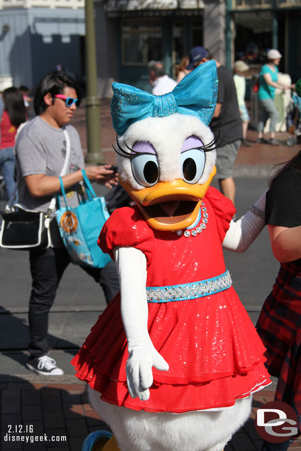 Daisy walking through the area.