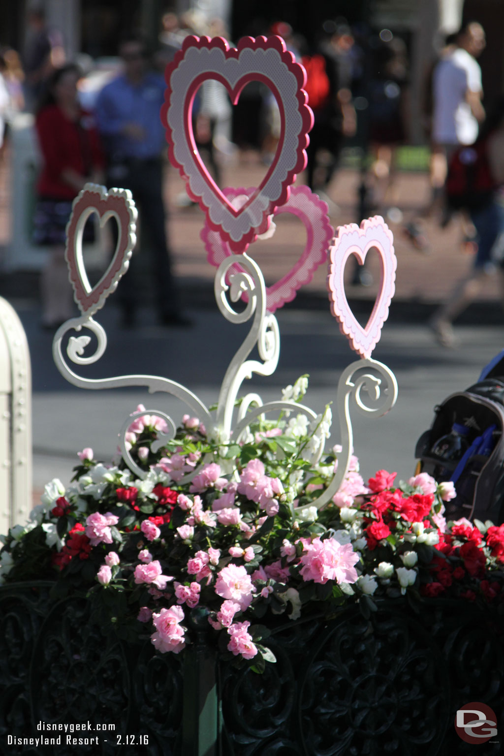 Some Valentines Day decorations are back in Town Square this week.