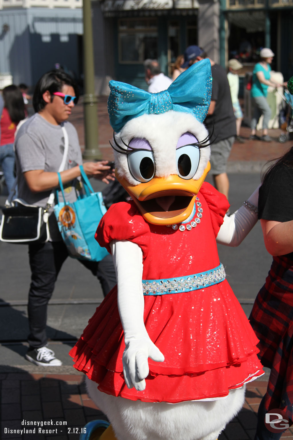 Daisy walking through the area.