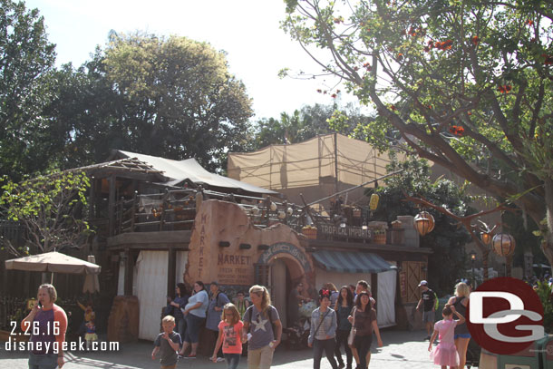 More scaffolding and scrims up at the Jungle Cruise as work continues.