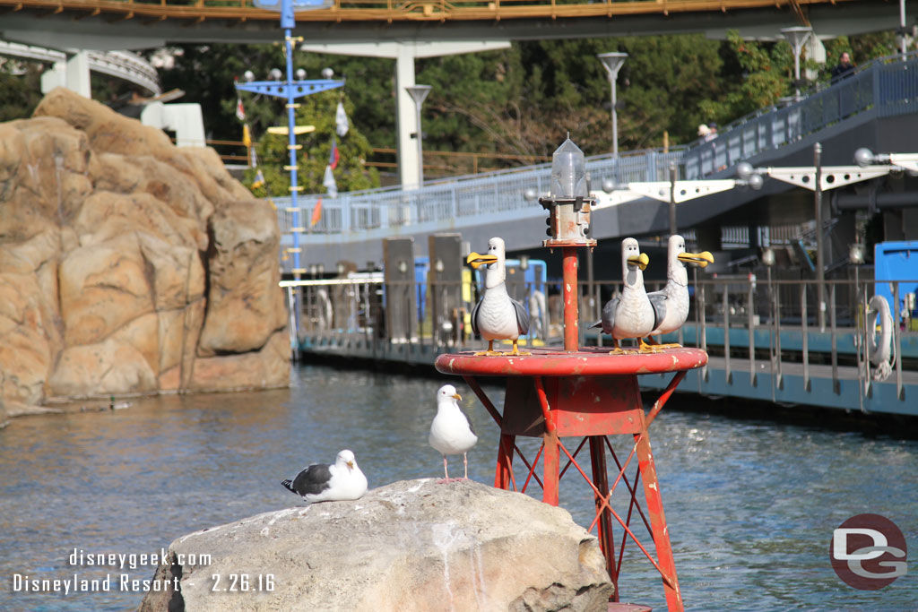 A couple of real sea gulls with the Disney ones..  they did not join in the mine mine mine courses.