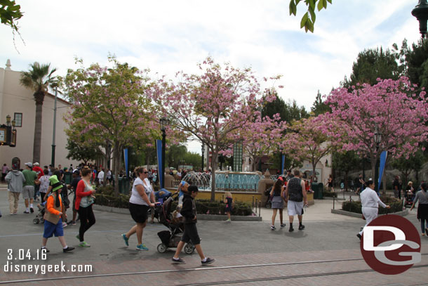 Carthay Circle is still in bloom this week.