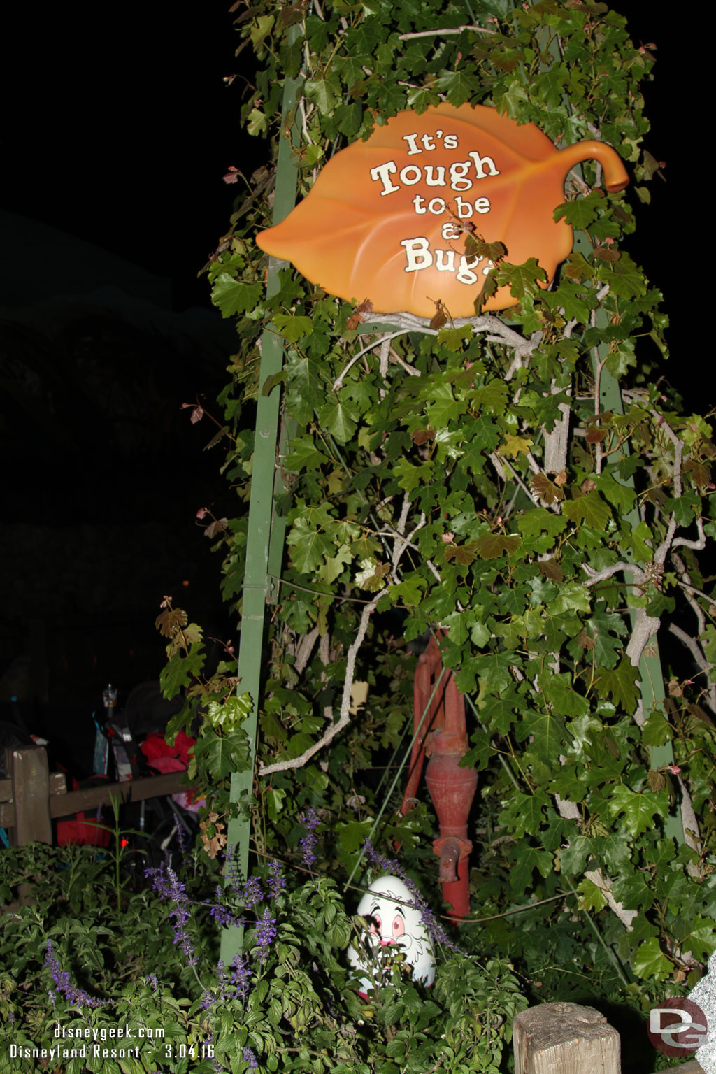 A Bugs Land (Entrance)