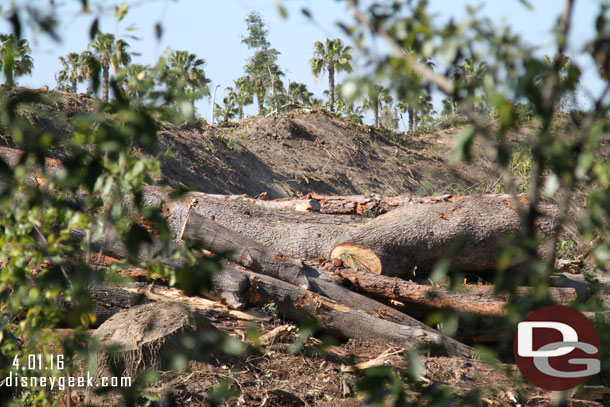 The clearing has progressed all the way up to the Hungry Bear.