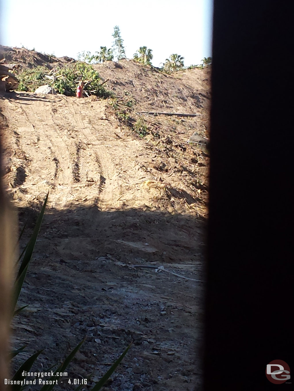 This is the bank right next to the Hungry Bear.  It has been cleared of most of the trees and plants now.