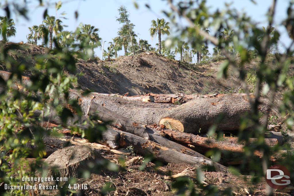 The clearing has progressed all the way up to the Hungry Bear.