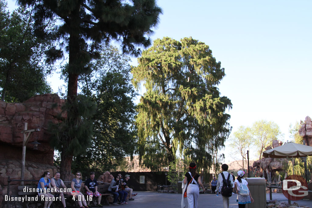 Walking around to the other side by Big Thunder.