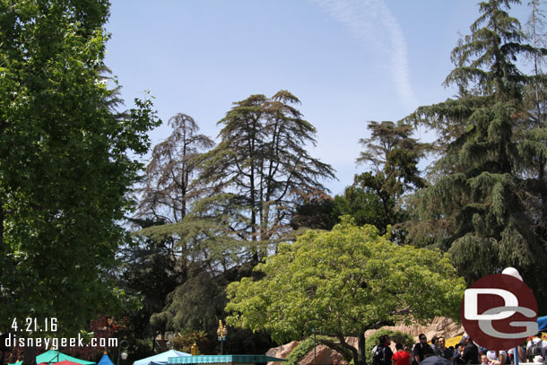 Looking toward the construction from in Fantasyland.  