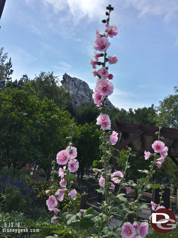 Grizzly Peak from here.