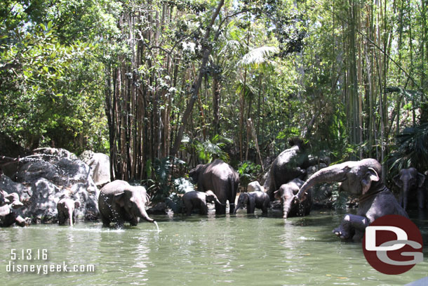 The audio throughout the jungle has been renovated with new speakers.  The skipper I talked to said nothing new, but things you have not heard in a long time are back.