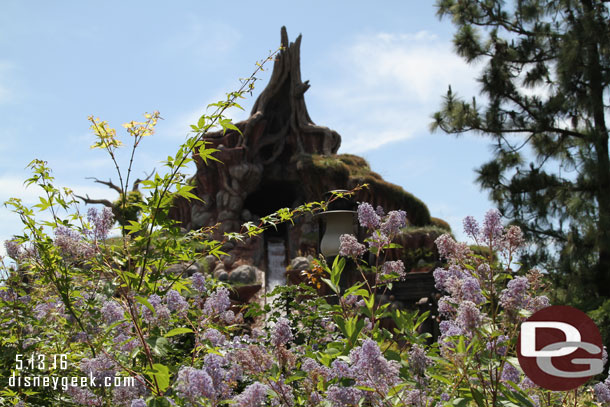 Random Splash Mountain picture.