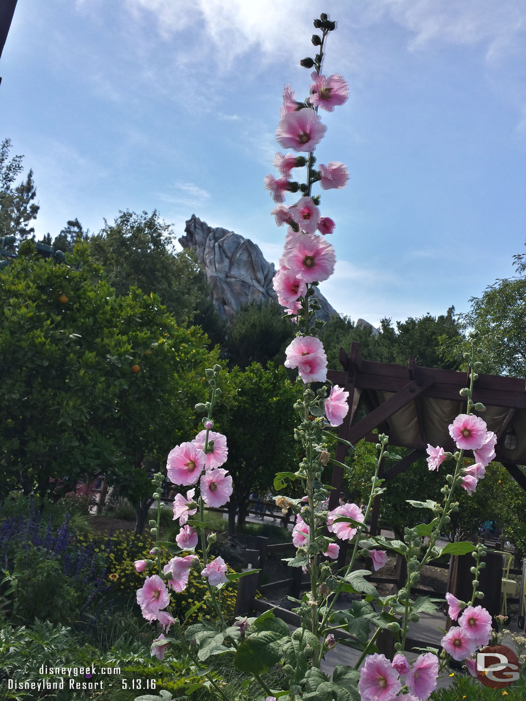 Grizzly Peak from here.