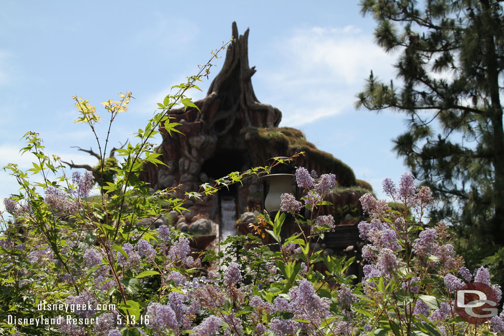 Random Splash Mountain picture.