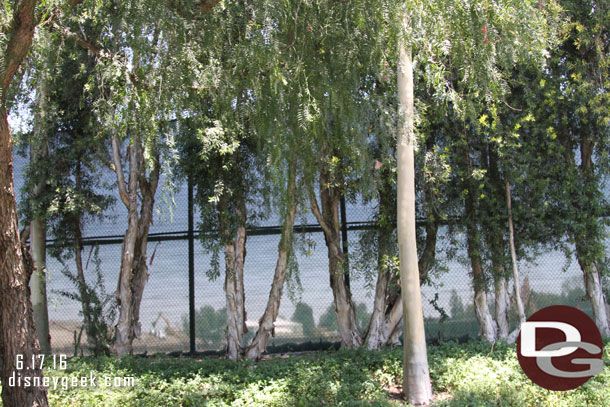 Thanks to the sun you could see through the fence along the tramway today.  Here is a ground level view.