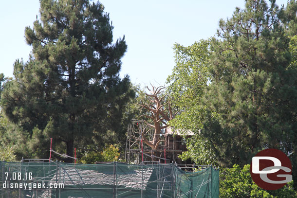 Interesting to see scaffolding up around the tree house.  I saw rumors it may be removed.  But seems it is staying in some form.  