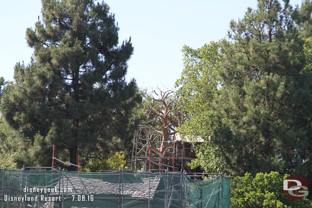 Interesting to see scaffolding up around the tree house.  I saw rumors it may be removed.  But seems it is staying in some form.  