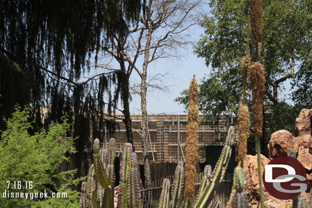 The forms are still up on this side of the wall along the Big Thunder Trail too.