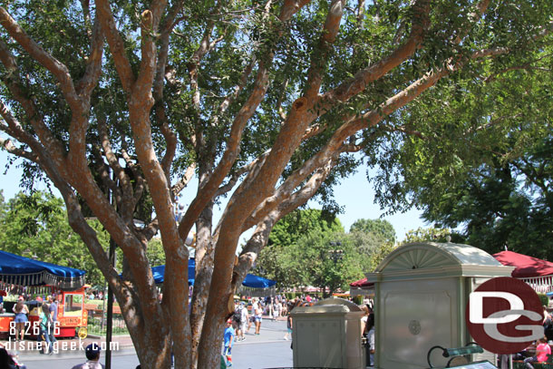 Looks like some recent tree trimming in the hub.