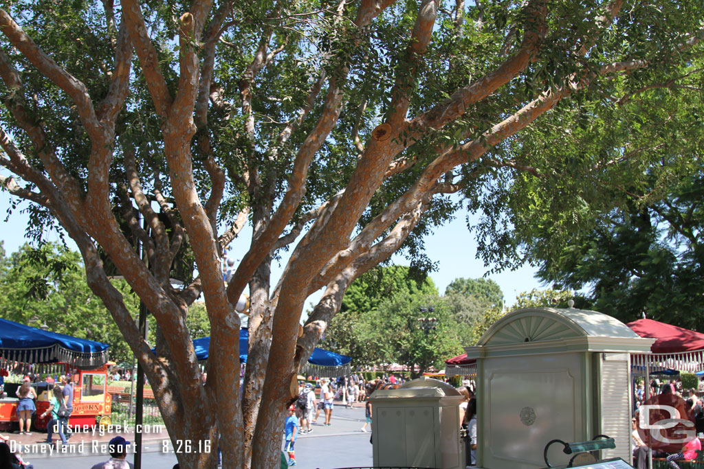 Looks like some recent tree trimming in the hub.