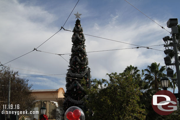 Buena Vista Street Tree