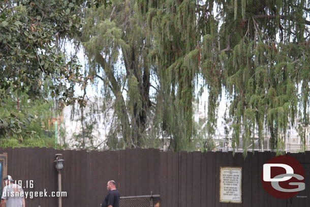 Approaching the end of the Big Thunder Trail.  Through the trees you can just barely make out the new trestle.