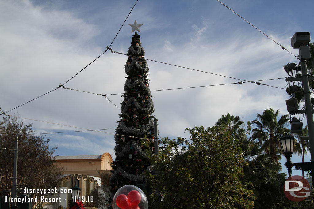 Buena Vista Street Tree