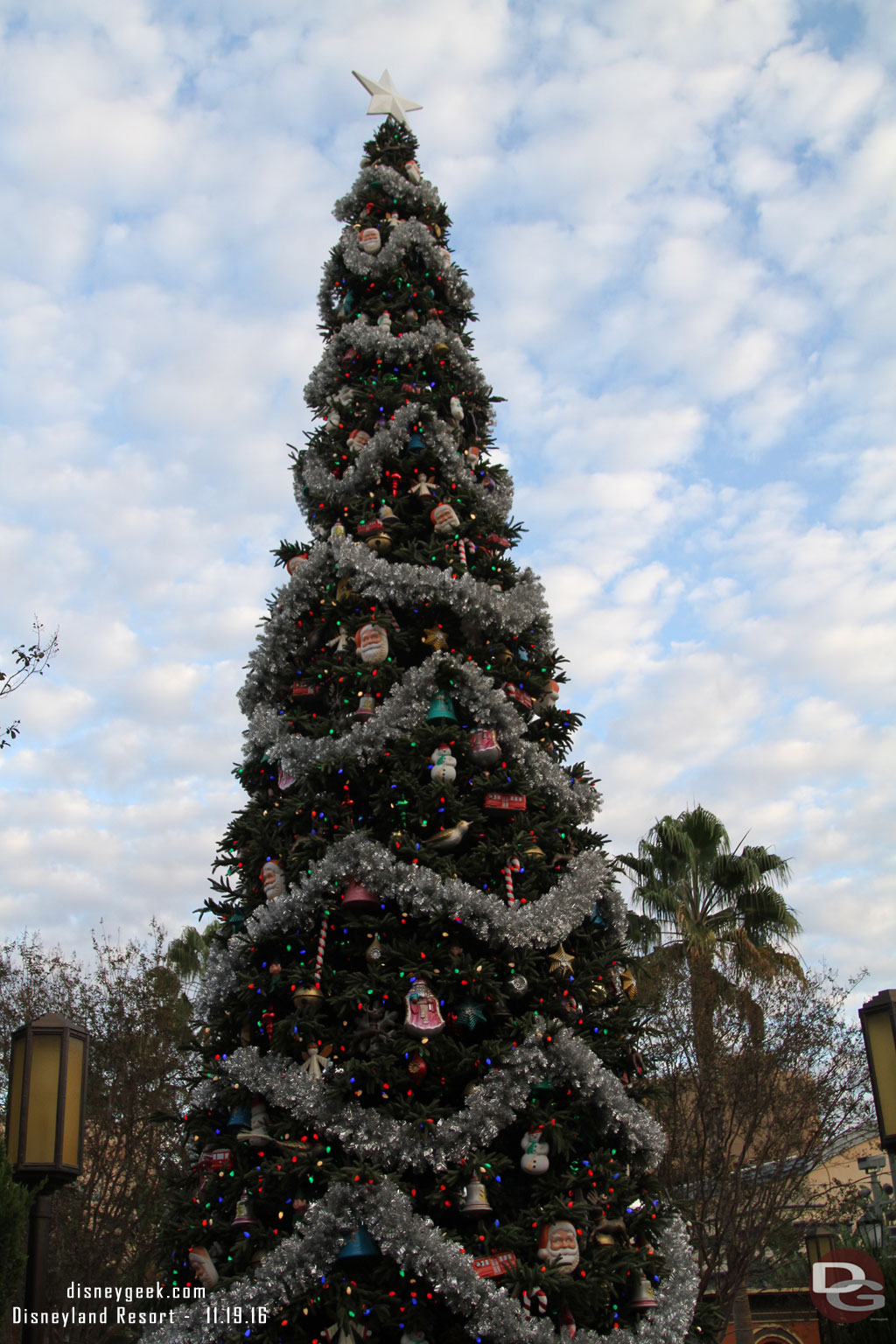 Buena Vista Street Christmas tree.