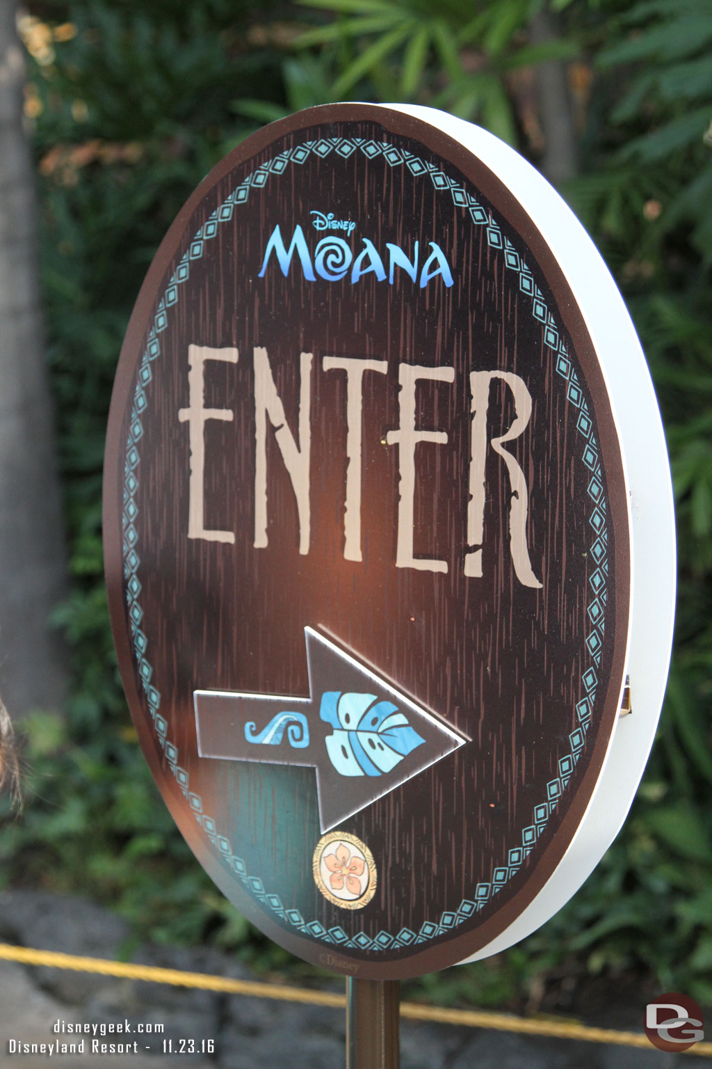 A Moana meet and greet is set up near the Jungle Cruise Exit/Oasis.  In the courtyard the Aladdin group usually uses.