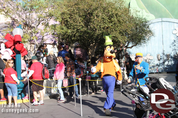 Goofy out for a stroll