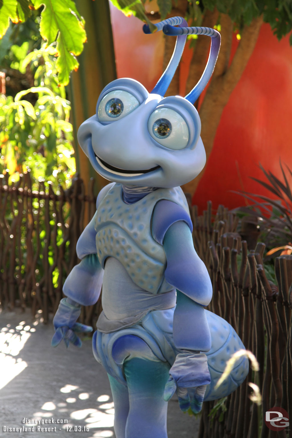 Flik was out taking pictures in his Fun Fair