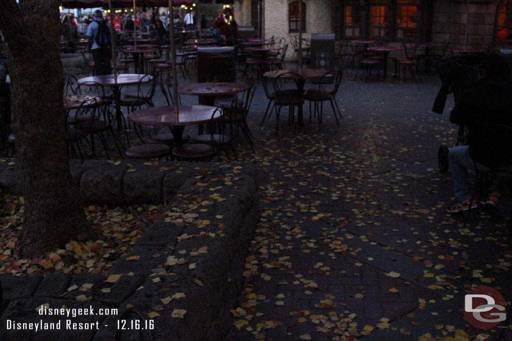 It was really looking like Fall in Fantasyland with a lot of leaves on the ground.