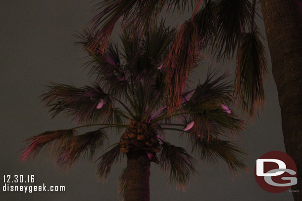 The hearts were getting caught in the palm trees tonight.