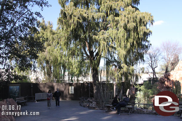 I was hoping with all the guests in the park they would open the Big Thunder Trail temporary walkway.  No such luck.