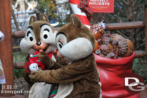 Chip and Dale in Redwood Creek