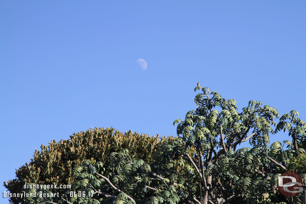 The moon visible over Adventureland already, it was only 2pm.