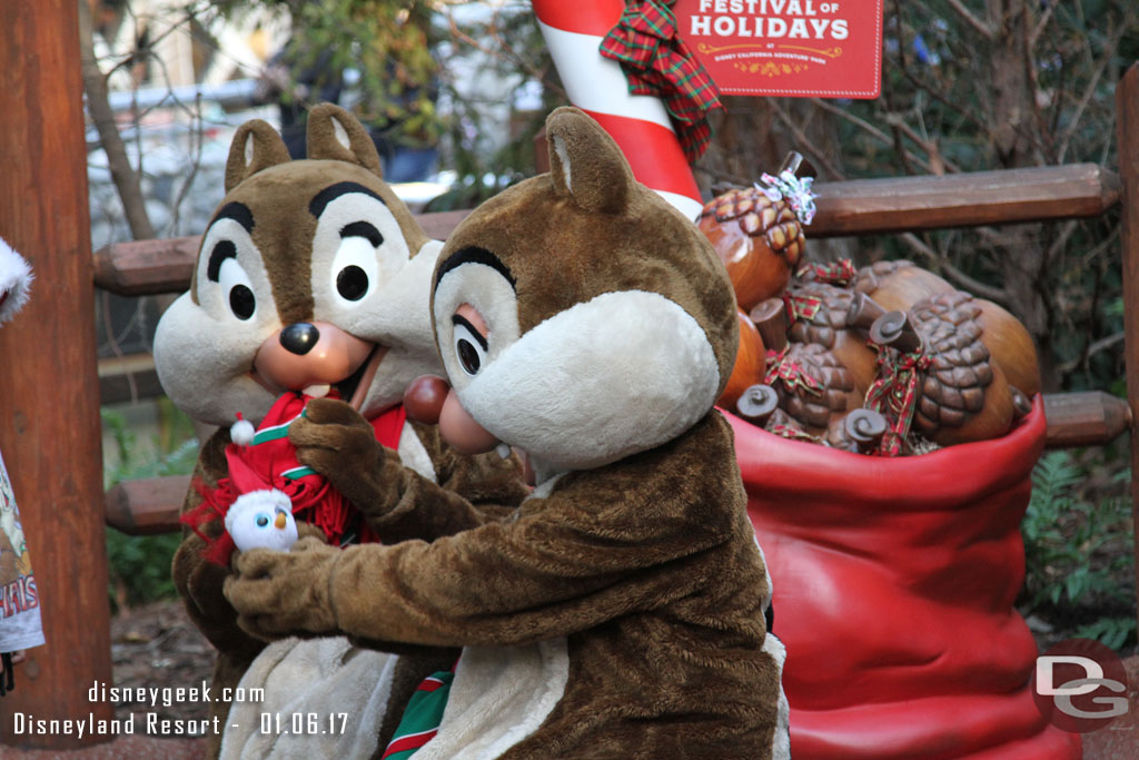 Chip and Dale in Redwood Creek