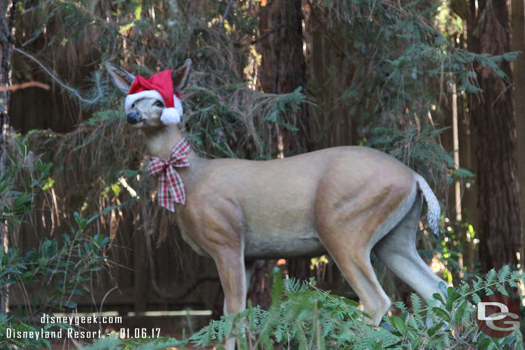 A deer still in the holiday spirit.