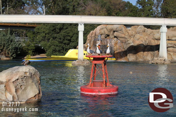 All three seagulls have returned to the sub lagoon.