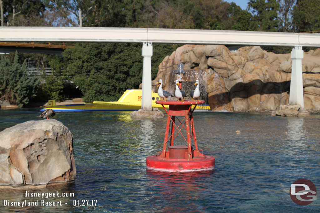 All three seagulls have returned to the sub lagoon.