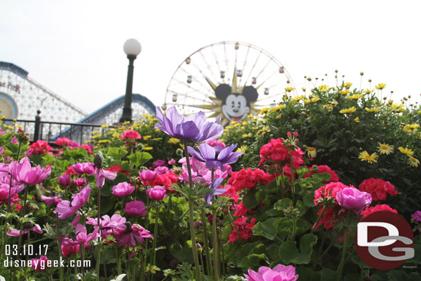 Spring flowers were in bloom in Paradise Park.