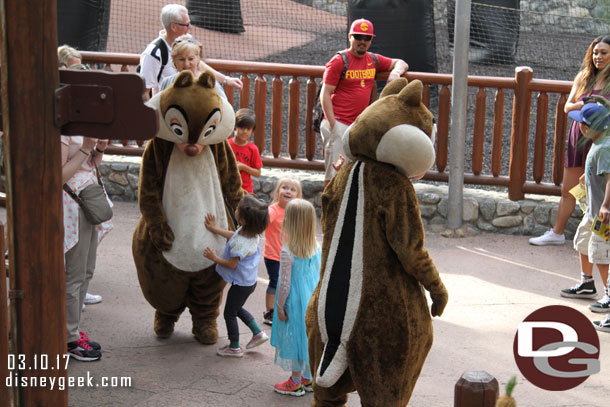 Chip and Dale were roaming around.