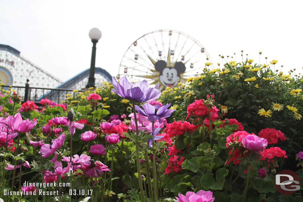 Spring flowers were in bloom in Paradise Park.