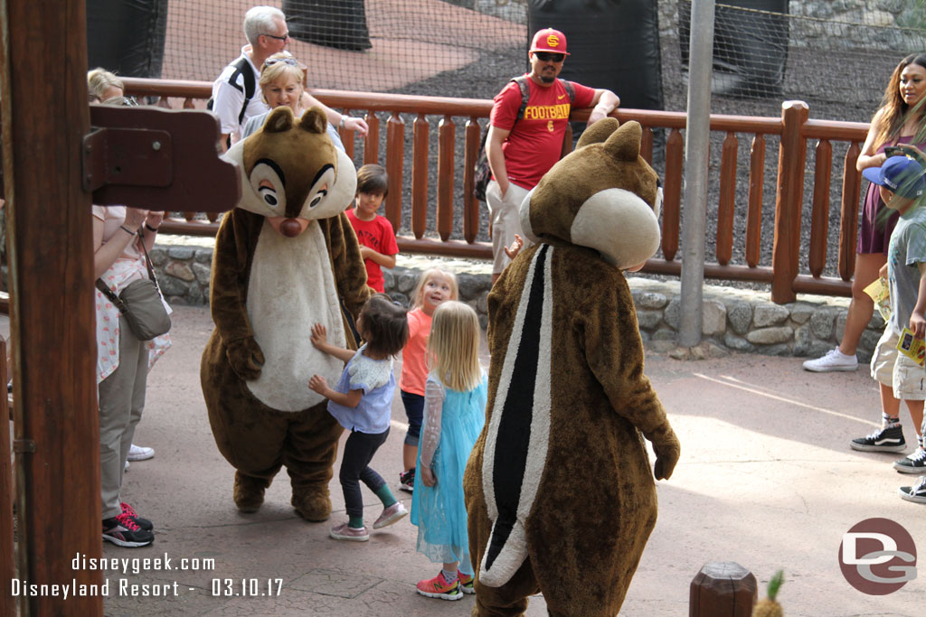 Chip and Dale were roaming around.