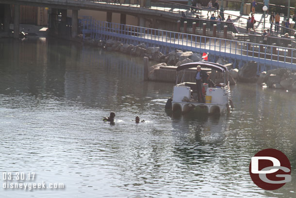 Divers working on something this morning in Paradise Bay.