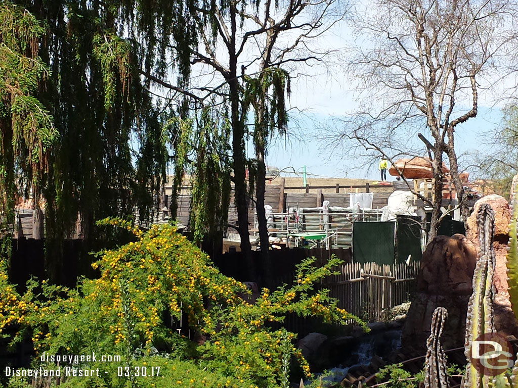 Checking out the construction from the Big Thunder Trail.