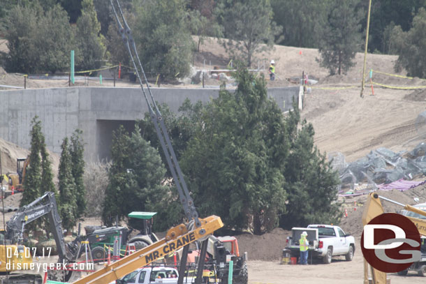 Trees waiting to be placed.